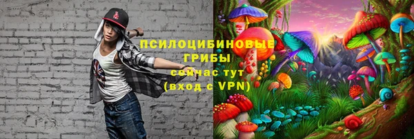 индика Карталы