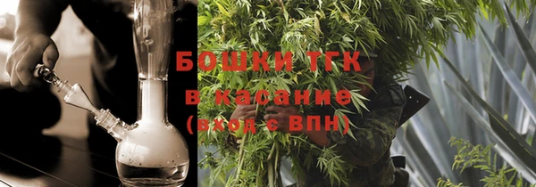 шишки Михайловск